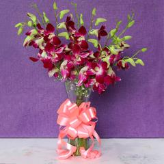 Purple Orchid With Vase